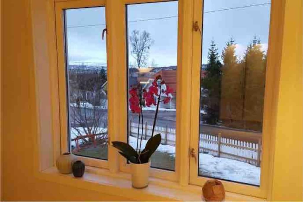 Villa Arctica Tromsø Exteriér fotografie