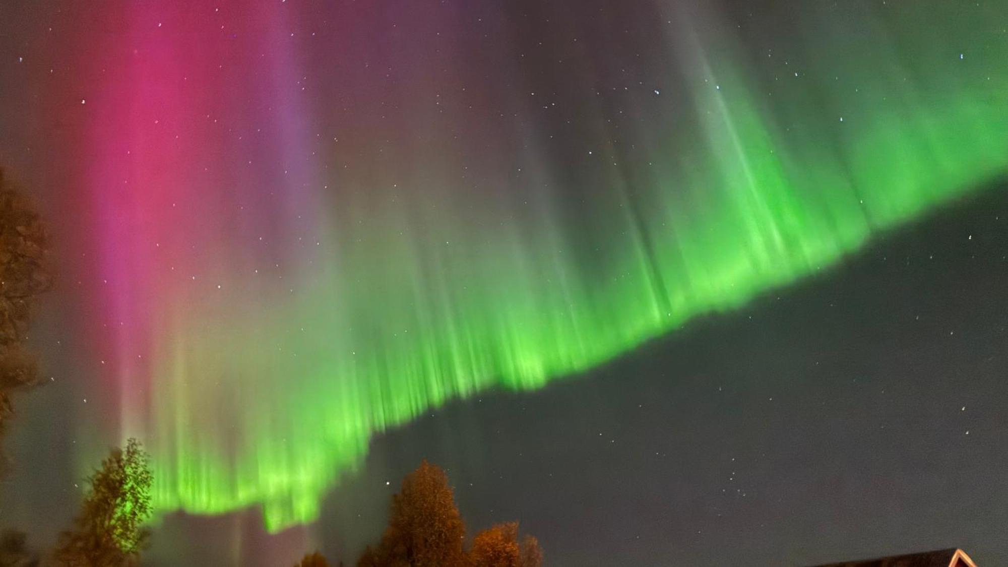 Villa Arctica Tromsø Exteriér fotografie